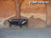 [P13] Un suflet nacajit si ostenit...siesta la Fatehpur Sikri » foto by cristina65
 - 
<span class="allrVoted glyphicon glyphicon-heart hidden" id="av279872"></span>
<a class="m-l-10 hidden" id="sv279872" onclick="voting_Foto_DelVot(,279872,22287)" role="button">șterge vot <span class="glyphicon glyphicon-remove"></span></a>
<a id="v9279872" class=" c-red"  onclick="voting_Foto_SetVot(279872)" role="button"><span class="glyphicon glyphicon-heart-empty"></span> <b>LIKE</b> = Votează poza</a> <img class="hidden"  id="f279872W9" src="/imagini/loader.gif" border="0" /><span class="AjErrMes hidden" id="e279872ErM"></span>
