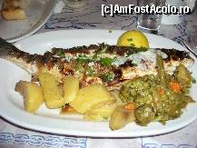 [P12]  -- <small>// FĂRĂ DESCRIERE</small> » foto by Tuica
 - 
<span class="allrVoted glyphicon glyphicon-heart hidden" id="av240200"></span>
<a class="m-l-10 hidden" id="sv240200" onclick="voting_Foto_DelVot(,240200,22302)" role="button">șterge vot <span class="glyphicon glyphicon-remove"></span></a>
<a id="v9240200" class=" c-red"  onclick="voting_Foto_SetVot(240200)" role="button"><span class="glyphicon glyphicon-heart-empty"></span> <b>LIKE</b> = Votează poza</a> <img class="hidden"  id="f240200W9" src="/imagini/loader.gif" border="0" /><span class="AjErrMes hidden" id="e240200ErM"></span>