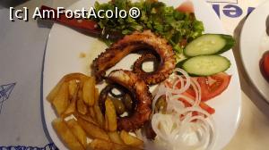 [P02]  -- <small>// FĂRĂ DESCRIERE</small> » foto by goguta99
 - 
<span class="allrVoted glyphicon glyphicon-heart hidden" id="av752195"></span>
<a class="m-l-10 hidden" id="sv752195" onclick="voting_Foto_DelVot(,752195,22302)" role="button">șterge vot <span class="glyphicon glyphicon-remove"></span></a>
<a id="v9752195" class=" c-red"  onclick="voting_Foto_SetVot(752195)" role="button"><span class="glyphicon glyphicon-heart-empty"></span> <b>LIKE</b> = Votează poza</a> <img class="hidden"  id="f752195W9" src="/imagini/loader.gif" border="0" /><span class="AjErrMes hidden" id="e752195ErM"></span>