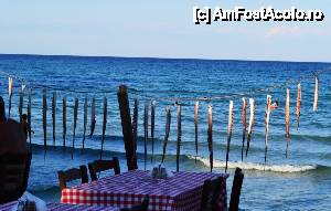 [P21] Taverna in Skala Potamia » foto by mirmicu
 - 
<span class="allrVoted glyphicon glyphicon-heart hidden" id="av477667"></span>
<a class="m-l-10 hidden" id="sv477667" onclick="voting_Foto_DelVot(,477667,22304)" role="button">șterge vot <span class="glyphicon glyphicon-remove"></span></a>
<a id="v9477667" class=" c-red"  onclick="voting_Foto_SetVot(477667)" role="button"><span class="glyphicon glyphicon-heart-empty"></span> <b>LIKE</b> = Votează poza</a> <img class="hidden"  id="f477667W9" src="/imagini/loader.gif" border="0" /><span class="AjErrMes hidden" id="e477667ErM"></span>