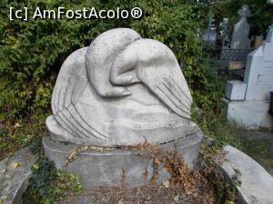 [P13] Milița Petrașcu cu ”Păsări îmbrățișate” la cavoul fam. Eliad.  » foto by mihaelavoicu
 - 
<span class="allrVoted glyphicon glyphicon-heart hidden" id="av1107842"></span>
<a class="m-l-10 hidden" id="sv1107842" onclick="voting_Foto_DelVot(,1107842,22321)" role="button">șterge vot <span class="glyphicon glyphicon-remove"></span></a>
<a id="v91107842" class=" c-red"  onclick="voting_Foto_SetVot(1107842)" role="button"><span class="glyphicon glyphicon-heart-empty"></span> <b>LIKE</b> = Votează poza</a> <img class="hidden"  id="f1107842W9" src="/imagini/loader.gif" border="0" /><span class="AjErrMes hidden" id="e1107842ErM"></span>