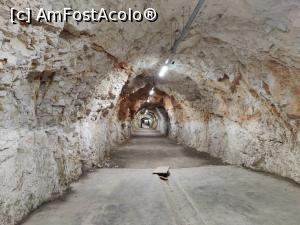 [P22] Tunelul antiaerian din WW2 » foto by crismis
 - 
<span class="allrVoted glyphicon glyphicon-heart hidden" id="av1346457"></span>
<a class="m-l-10 hidden" id="sv1346457" onclick="voting_Foto_DelVot(,1346457,22352)" role="button">șterge vot <span class="glyphicon glyphicon-remove"></span></a>
<a id="v91346457" class=" c-red"  onclick="voting_Foto_SetVot(1346457)" role="button"><span class="glyphicon glyphicon-heart-empty"></span> <b>LIKE</b> = Votează poza</a> <img class="hidden"  id="f1346457W9" src="/imagini/loader.gif" border="0" /><span class="AjErrMes hidden" id="e1346457ErM"></span>