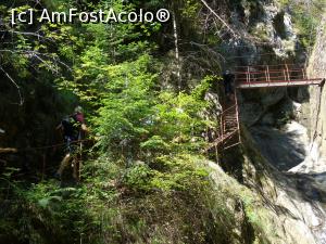 [P11] Podețul metalic peste două cascade. De aici mai începe și câte un gol în stomac.  » foto by Aurici
 - 
<span class="allrVoted glyphicon glyphicon-heart hidden" id="av883726"></span>
<a class="m-l-10 hidden" id="sv883726" onclick="voting_Foto_DelVot(,883726,22380)" role="button">șterge vot <span class="glyphicon glyphicon-remove"></span></a>
<a id="v9883726" class=" c-red"  onclick="voting_Foto_SetVot(883726)" role="button"><span class="glyphicon glyphicon-heart-empty"></span> <b>LIKE</b> = Votează poza</a> <img class="hidden"  id="f883726W9" src="/imagini/loader.gif" border="0" /><span class="AjErrMes hidden" id="e883726ErM"></span>