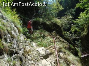 [P16] Pe poteci înguste cu balustrade metalice.  » foto by Aurici
 - 
<span class="allrVoted glyphicon glyphicon-heart hidden" id="av883731"></span>
<a class="m-l-10 hidden" id="sv883731" onclick="voting_Foto_DelVot(,883731,22380)" role="button">șterge vot <span class="glyphicon glyphicon-remove"></span></a>
<a id="v9883731" class=" c-red"  onclick="voting_Foto_SetVot(883731)" role="button"><span class="glyphicon glyphicon-heart-empty"></span> <b>LIKE</b> = Votează poza</a> <img class="hidden"  id="f883731W9" src="/imagini/loader.gif" border="0" /><span class="AjErrMes hidden" id="e883731ErM"></span>