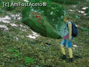 [P38]  -- <small>// FĂRĂ DESCRIERE</small> » foto by Aurici
 - 
<span class="allrVoted glyphicon glyphicon-heart hidden" id="av883753"></span>
<a class="m-l-10 hidden" id="sv883753" onclick="voting_Foto_DelVot(,883753,22380)" role="button">șterge vot <span class="glyphicon glyphicon-remove"></span></a>
<a id="v9883753" class=" c-red"  onclick="voting_Foto_SetVot(883753)" role="button"><span class="glyphicon glyphicon-heart-empty"></span> <b>LIKE</b> = Votează poza</a> <img class="hidden"  id="f883753W9" src="/imagini/loader.gif" border="0" /><span class="AjErrMes hidden" id="e883753ErM"></span>