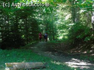 [P39] Prin pădure după ce am trecut de Poiana Călugărița.  » foto by Aurici
 - 
<span class="allrVoted glyphicon glyphicon-heart hidden" id="av883754"></span>
<a class="m-l-10 hidden" id="sv883754" onclick="voting_Foto_DelVot(,883754,22380)" role="button">șterge vot <span class="glyphicon glyphicon-remove"></span></a>
<a id="v9883754" class=" c-red"  onclick="voting_Foto_SetVot(883754)" role="button"><span class="glyphicon glyphicon-heart-empty"></span> <b>LIKE</b> = Votează poza</a> <img class="hidden"  id="f883754W9" src="/imagini/loader.gif" border="0" /><span class="AjErrMes hidden" id="e883754ErM"></span>