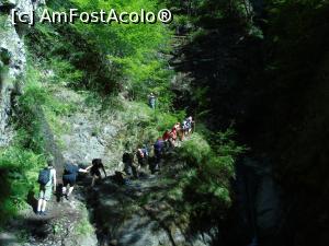 [P08] Cred că ăștia suntem toți. Media de vârstă 55+.  » foto by Aurici
 - 
<span class="allrVoted glyphicon glyphicon-heart hidden" id="av883723"></span>
<a class="m-l-10 hidden" id="sv883723" onclick="voting_Foto_DelVot(,883723,22380)" role="button">șterge vot <span class="glyphicon glyphicon-remove"></span></a>
<a id="v9883723" class=" c-red"  onclick="voting_Foto_SetVot(883723)" role="button"><span class="glyphicon glyphicon-heart-empty"></span> <b>LIKE</b> = Votează poza</a> <img class="hidden"  id="f883723W9" src="/imagini/loader.gif" border="0" /><span class="AjErrMes hidden" id="e883723ErM"></span>