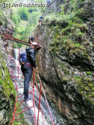 [P11] Locul unde traversezi cascadele. » foto by VasiuM
 - 
<span class="allrVoted glyphicon glyphicon-heart hidden" id="av1176261"></span>
<a class="m-l-10 hidden" id="sv1176261" onclick="voting_Foto_DelVot(,1176261,22380)" role="button">șterge vot <span class="glyphicon glyphicon-remove"></span></a>
<a id="v91176261" class=" c-red"  onclick="voting_Foto_SetVot(1176261)" role="button"><span class="glyphicon glyphicon-heart-empty"></span> <b>LIKE</b> = Votează poza</a> <img class="hidden"  id="f1176261W9" src="/imagini/loader.gif" border="0" /><span class="AjErrMes hidden" id="e1176261ErM"></span>