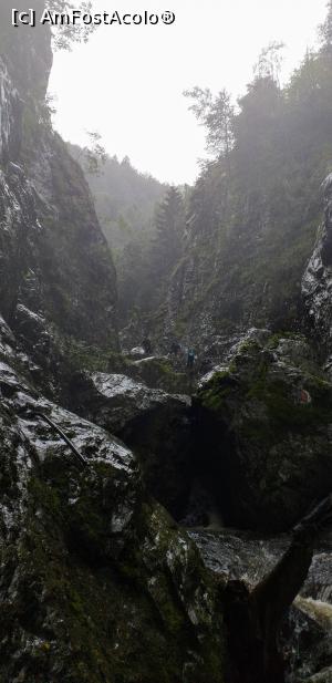 [P16] Aici ploua de rupea. » foto by VasiuM
 - 
<span class="allrVoted glyphicon glyphicon-heart hidden" id="av1176266"></span>
<a class="m-l-10 hidden" id="sv1176266" onclick="voting_Foto_DelVot(,1176266,22380)" role="button">șterge vot <span class="glyphicon glyphicon-remove"></span></a>
<a id="v91176266" class=" c-red"  onclick="voting_Foto_SetVot(1176266)" role="button"><span class="glyphicon glyphicon-heart-empty"></span> <b>LIKE</b> = Votează poza</a> <img class="hidden"  id="f1176266W9" src="/imagini/loader.gif" border="0" /><span class="AjErrMes hidden" id="e1176266ErM"></span>