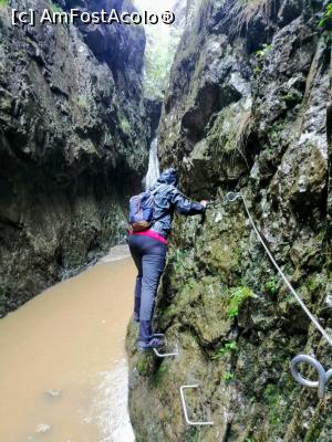 [P17] Ploaie si mai multa adrenalina. » foto by VasiuM
 - 
<span class="allrVoted glyphicon glyphicon-heart hidden" id="av1176267"></span>
<a class="m-l-10 hidden" id="sv1176267" onclick="voting_Foto_DelVot(,1176267,22380)" role="button">șterge vot <span class="glyphicon glyphicon-remove"></span></a>
<a id="v91176267" class=" c-red"  onclick="voting_Foto_SetVot(1176267)" role="button"><span class="glyphicon glyphicon-heart-empty"></span> <b>LIKE</b> = Votează poza</a> <img class="hidden"  id="f1176267W9" src="/imagini/loader.gif" border="0" /><span class="AjErrMes hidden" id="e1176267ErM"></span>