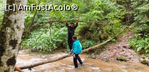 [P20] Al doilea obstacol. » foto by VasiuM
 - 
<span class="allrVoted glyphicon glyphicon-heart hidden" id="av1176270"></span>
<a class="m-l-10 hidden" id="sv1176270" onclick="voting_Foto_DelVot(,1176270,22380)" role="button">șterge vot <span class="glyphicon glyphicon-remove"></span></a>
<a id="v91176270" class=" c-red"  onclick="voting_Foto_SetVot(1176270)" role="button"><span class="glyphicon glyphicon-heart-empty"></span> <b>LIKE</b> = Votează poza</a> <img class="hidden"  id="f1176270W9" src="/imagini/loader.gif" border="0" /><span class="AjErrMes hidden" id="e1176270ErM"></span>