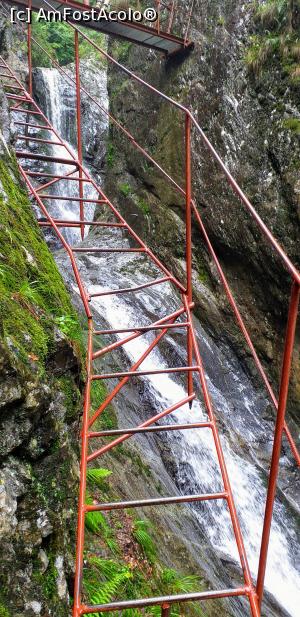 [P09] Scara ce urca printre cascade. » foto by VasiuM
 - 
<span class="allrVoted glyphicon glyphicon-heart hidden" id="av1176259"></span>
<a class="m-l-10 hidden" id="sv1176259" onclick="voting_Foto_DelVot(,1176259,22380)" role="button">șterge vot <span class="glyphicon glyphicon-remove"></span></a>
<a id="v91176259" class=" c-red"  onclick="voting_Foto_SetVot(1176259)" role="button"><span class="glyphicon glyphicon-heart-empty"></span> <b>LIKE</b> = Votează poza</a> <img class="hidden"  id="f1176259W9" src="/imagini/loader.gif" border="0" /><span class="AjErrMes hidden" id="e1176259ErM"></span>