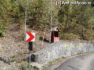 [P02]  -- <small>// FĂRĂ DESCRIERE</small> » foto by wolf2001*
 - 
<span class="allrVoted glyphicon glyphicon-heart hidden" id="av533091"></span>
<a class="m-l-10 hidden" id="sv533091" onclick="voting_Foto_DelVot(,533091,22380)" role="button">șterge vot <span class="glyphicon glyphicon-remove"></span></a>
<a id="v9533091" class=" c-red"  onclick="voting_Foto_SetVot(533091)" role="button"><span class="glyphicon glyphicon-heart-empty"></span> <b>LIKE</b> = Votează poza</a> <img class="hidden"  id="f533091W9" src="/imagini/loader.gif" border="0" /><span class="AjErrMes hidden" id="e533091ErM"></span>