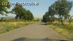 [P15] Asta arata mai bine, intre Balti, Floresti si Soroca.  » foto by Radix7
 - 
<span class="allrVoted glyphicon glyphicon-heart hidden" id="av883879"></span>
<a class="m-l-10 hidden" id="sv883879" onclick="voting_Foto_DelVot(,883879,22384)" role="button">șterge vot <span class="glyphicon glyphicon-remove"></span></a>
<a id="v9883879" class=" c-red"  onclick="voting_Foto_SetVot(883879)" role="button"><span class="glyphicon glyphicon-heart-empty"></span> <b>LIKE</b> = Votează poza</a> <img class="hidden"  id="f883879W9" src="/imagini/loader.gif" border="0" /><span class="AjErrMes hidden" id="e883879ErM"></span>