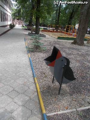 [P14] alee din parc » foto by amalia80
 - 
<span class="allrVoted glyphicon glyphicon-heart hidden" id="av656212"></span>
<a class="m-l-10 hidden" id="sv656212" onclick="voting_Foto_DelVot(,656212,22384)" role="button">șterge vot <span class="glyphicon glyphicon-remove"></span></a>
<a id="v9656212" class=" c-red"  onclick="voting_Foto_SetVot(656212)" role="button"><span class="glyphicon glyphicon-heart-empty"></span> <b>LIKE</b> = Votează poza</a> <img class="hidden"  id="f656212W9" src="/imagini/loader.gif" border="0" /><span class="AjErrMes hidden" id="e656212ErM"></span>