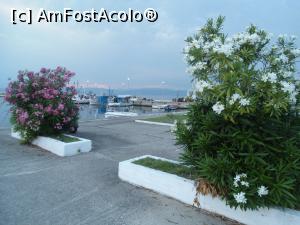 [P19] Portul din Skala Rachoniou » foto by Cristofor
 - 
<span class="allrVoted glyphicon glyphicon-heart hidden" id="av884344"></span>
<a class="m-l-10 hidden" id="sv884344" onclick="voting_Foto_DelVot(,884344,22389)" role="button">șterge vot <span class="glyphicon glyphicon-remove"></span></a>
<a id="v9884344" class=" c-red"  onclick="voting_Foto_SetVot(884344)" role="button"><span class="glyphicon glyphicon-heart-empty"></span> <b>LIKE</b> = Votează poza</a> <img class="hidden"  id="f884344W9" src="/imagini/loader.gif" border="0" /><span class="AjErrMes hidden" id="e884344ErM"></span>