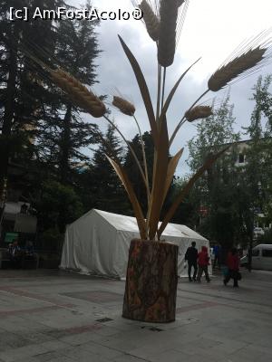 [P11] Detaliu, artistic.  » foto by RossoNerro
 - 
<span class="allrVoted glyphicon glyphicon-heart hidden" id="av884916"></span>
<a class="m-l-10 hidden" id="sv884916" onclick="voting_Foto_DelVot(,884916,22395)" role="button">șterge vot <span class="glyphicon glyphicon-remove"></span></a>
<a id="v9884916" class=" c-red"  onclick="voting_Foto_SetVot(884916)" role="button"><span class="glyphicon glyphicon-heart-empty"></span> <b>LIKE</b> = Votează poza</a> <img class="hidden"  id="f884916W9" src="/imagini/loader.gif" border="0" /><span class="AjErrMes hidden" id="e884916ErM"></span>