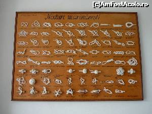 [P37] Colecţia de noduri marinăreşti, prezentată în holul de la intrare » foto by Claudiu U.
 - 
<span class="allrVoted glyphicon glyphicon-heart hidden" id="av629056"></span>
<a class="m-l-10 hidden" id="sv629056" onclick="voting_Foto_DelVot(,629056,22396)" role="button">șterge vot <span class="glyphicon glyphicon-remove"></span></a>
<a id="v9629056" class=" c-red"  onclick="voting_Foto_SetVot(629056)" role="button"><span class="glyphicon glyphicon-heart-empty"></span> <b>LIKE</b> = Votează poza</a> <img class="hidden"  id="f629056W9" src="/imagini/loader.gif" border="0" /><span class="AjErrMes hidden" id="e629056ErM"></span>