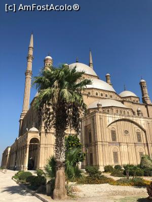 [P04]  -- <small>// FĂRĂ DESCRIERE</small> » foto by Carmen Ghe.
 - 
<span class="allrVoted glyphicon glyphicon-heart hidden" id="av1020222"></span>
<a class="m-l-10 hidden" id="sv1020222" onclick="voting_Foto_DelVot(,1020222,22400)" role="button">șterge vot <span class="glyphicon glyphicon-remove"></span></a>
<a id="v91020222" class=" c-red"  onclick="voting_Foto_SetVot(1020222)" role="button"><span class="glyphicon glyphicon-heart-empty"></span> <b>LIKE</b> = Votează poza</a> <img class="hidden"  id="f1020222W9" src="/imagini/loader.gif" border="0" /><span class="AjErrMes hidden" id="e1020222ErM"></span>