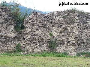 [P07] Inca un cadru cu zidul invadat de balarii si distrus de vrenme si de vremuri... le noastre » foto by Dan&Ema
 - 
<span class="allrVoted glyphicon glyphicon-heart hidden" id="av551923"></span>
<a class="m-l-10 hidden" id="sv551923" onclick="voting_Foto_DelVot(,551923,22408)" role="button">șterge vot <span class="glyphicon glyphicon-remove"></span></a>
<a id="v9551923" class=" c-red"  onclick="voting_Foto_SetVot(551923)" role="button"><span class="glyphicon glyphicon-heart-empty"></span> <b>LIKE</b> = Votează poza</a> <img class="hidden"  id="f551923W9" src="/imagini/loader.gif" border="0" /><span class="AjErrMes hidden" id="e551923ErM"></span>