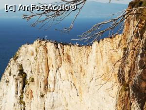 [P57] Pintenul din dreapta, de unde cred că vederea spre Navagio e optimă (zoom) » foto by crismis
 - 
<span class="allrVoted glyphicon glyphicon-heart hidden" id="av1269925"></span>
<a class="m-l-10 hidden" id="sv1269925" onclick="voting_Foto_DelVot(,1269925,22411)" role="button">șterge vot <span class="glyphicon glyphicon-remove"></span></a>
<a id="v91269925" class=" c-red"  onclick="voting_Foto_SetVot(1269925)" role="button"><span class="glyphicon glyphicon-heart-empty"></span> <b>LIKE</b> = Votează poza</a> <img class="hidden"  id="f1269925W9" src="/imagini/loader.gif" border="0" /><span class="AjErrMes hidden" id="e1269925ErM"></span>