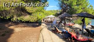 [P13] Plaja Koukounaries, Skiathos » foto by vlado2
 - 
<span class="allrVoted glyphicon glyphicon-heart hidden" id="av1522087"></span>
<a class="m-l-10 hidden" id="sv1522087" onclick="voting_Foto_DelVot(,1522087,22413)" role="button">șterge vot <span class="glyphicon glyphicon-remove"></span></a>
<a id="v91522087" class=" c-red"  onclick="voting_Foto_SetVot(1522087)" role="button"><span class="glyphicon glyphicon-heart-empty"></span> <b>LIKE</b> = Votează poza</a> <img class="hidden"  id="f1522087W9" src="/imagini/loader.gif" border="0" /><span class="AjErrMes hidden" id="e1522087ErM"></span>