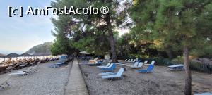 [P07] Plaja Koukounaries, Skiathos » foto by vlado2
 - 
<span class="allrVoted glyphicon glyphicon-heart hidden" id="av1522081"></span>
<a class="m-l-10 hidden" id="sv1522081" onclick="voting_Foto_DelVot(,1522081,22413)" role="button">șterge vot <span class="glyphicon glyphicon-remove"></span></a>
<a id="v91522081" class=" c-red"  onclick="voting_Foto_SetVot(1522081)" role="button"><span class="glyphicon glyphicon-heart-empty"></span> <b>LIKE</b> = Votează poza</a> <img class="hidden"  id="f1522081W9" src="/imagini/loader.gif" border="0" /><span class="AjErrMes hidden" id="e1522081ErM"></span>