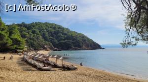 [P07] Plaja Banana Mare, Skiathos » foto by vlado2
 - 
<span class="allrVoted glyphicon glyphicon-heart hidden" id="av1523194"></span>
<a class="m-l-10 hidden" id="sv1523194" onclick="voting_Foto_DelVot(,1523194,22413)" role="button">șterge vot <span class="glyphicon glyphicon-remove"></span></a>
<a id="v91523194" class=" c-red"  onclick="voting_Foto_SetVot(1523194)" role="button"><span class="glyphicon glyphicon-heart-empty"></span> <b>LIKE</b> = Votează poza</a> <img class="hidden"  id="f1523194W9" src="/imagini/loader.gif" border="0" /><span class="AjErrMes hidden" id="e1523194ErM"></span>