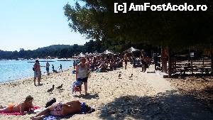 [P38] Skiathos - plaja Koukounaries » foto by Cris
 - 
<span class="allrVoted glyphicon glyphicon-heart hidden" id="av633491"></span>
<a class="m-l-10 hidden" id="sv633491" onclick="voting_Foto_DelVot(,633491,22413)" role="button">șterge vot <span class="glyphicon glyphicon-remove"></span></a>
<a id="v9633491" class=" c-red"  onclick="voting_Foto_SetVot(633491)" role="button"><span class="glyphicon glyphicon-heart-empty"></span> <b>LIKE</b> = Votează poza</a> <img class="hidden"  id="f633491W9" src="/imagini/loader.gif" border="0" /><span class="AjErrMes hidden" id="e633491ErM"></span>