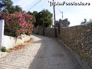 [P61] Skiathos - drumul care duce la plaja Achladies » foto by Cris
 - 
<span class="allrVoted glyphicon glyphicon-heart hidden" id="av633514"></span>
<a class="m-l-10 hidden" id="sv633514" onclick="voting_Foto_DelVot(,633514,22413)" role="button">șterge vot <span class="glyphicon glyphicon-remove"></span></a>
<a id="v9633514" class=" c-red"  onclick="voting_Foto_SetVot(633514)" role="button"><span class="glyphicon glyphicon-heart-empty"></span> <b>LIKE</b> = Votează poza</a> <img class="hidden"  id="f633514W9" src="/imagini/loader.gif" border="0" /><span class="AjErrMes hidden" id="e633514ErM"></span>