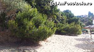[P65] Skiathos - plaja Achladies » foto by Cris
 - 
<span class="allrVoted glyphicon glyphicon-heart hidden" id="av633518"></span>
<a class="m-l-10 hidden" id="sv633518" onclick="voting_Foto_DelVot(,633518,22413)" role="button">șterge vot <span class="glyphicon glyphicon-remove"></span></a>
<a id="v9633518" class=" c-red"  onclick="voting_Foto_SetVot(633518)" role="button"><span class="glyphicon glyphicon-heart-empty"></span> <b>LIKE</b> = Votează poza</a> <img class="hidden"  id="f633518W9" src="/imagini/loader.gif" border="0" /><span class="AjErrMes hidden" id="e633518ErM"></span>