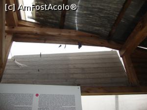 [P20] Mai mulți fluturi se strângeau la plasa prin care se realiza aerisirea încăperii.  » foto by Floryn81
 - 
<span class="allrVoted glyphicon glyphicon-heart hidden" id="av781670"></span>
<a class="m-l-10 hidden" id="sv781670" onclick="voting_Foto_DelVot(,781670,22424)" role="button">șterge vot <span class="glyphicon glyphicon-remove"></span></a>
<a id="v9781670" class=" c-red"  onclick="voting_Foto_SetVot(781670)" role="button"><span class="glyphicon glyphicon-heart-empty"></span> <b>LIKE</b> = Votează poza</a> <img class="hidden"  id="f781670W9" src="/imagini/loader.gif" border="0" /><span class="AjErrMes hidden" id="e781670ErM"></span>