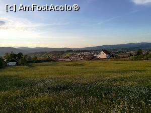 [P17] Poienița din vecinătatea pensiunii » foto by crismis
 - 
<span class="allrVoted glyphicon glyphicon-heart hidden" id="av987296"></span>
<a class="m-l-10 hidden" id="sv987296" onclick="voting_Foto_DelVot(,987296,22425)" role="button">șterge vot <span class="glyphicon glyphicon-remove"></span></a>
<a id="v9987296" class=" c-red"  onclick="voting_Foto_SetVot(987296)" role="button"><span class="glyphicon glyphicon-heart-empty"></span> <b>LIKE</b> = Votează poza</a> <img class="hidden"  id="f987296W9" src="/imagini/loader.gif" border="0" /><span class="AjErrMes hidden" id="e987296ErM"></span>