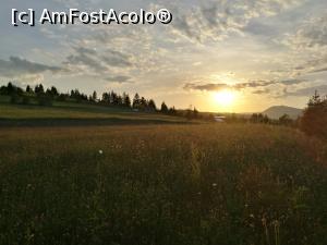 [P20] Apus de soare în poieniță » foto by crismis
 - 
<span class="allrVoted glyphicon glyphicon-heart hidden" id="av987299"></span>
<a class="m-l-10 hidden" id="sv987299" onclick="voting_Foto_DelVot(,987299,22425)" role="button">șterge vot <span class="glyphicon glyphicon-remove"></span></a>
<a id="v9987299" class=" c-red"  onclick="voting_Foto_SetVot(987299)" role="button"><span class="glyphicon glyphicon-heart-empty"></span> <b>LIKE</b> = Votează poza</a> <img class="hidden"  id="f987299W9" src="/imagini/loader.gif" border="0" /><span class="AjErrMes hidden" id="e987299ErM"></span>