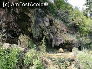 [P34] Cascada Mezotermală, destul de anemică » foto by crismis
 - 
<span class="allrVoted glyphicon glyphicon-heart hidden" id="av987313"></span>
<a class="m-l-10 hidden" id="sv987313" onclick="voting_Foto_DelVot(,987313,22425)" role="button">șterge vot <span class="glyphicon glyphicon-remove"></span></a>
<a id="v9987313" class=" c-red"  onclick="voting_Foto_SetVot(987313)" role="button"><span class="glyphicon glyphicon-heart-empty"></span> <b>LIKE</b> = Votează poza</a> <img class="hidden"  id="f987313W9" src="/imagini/loader.gif" border="0" /><span class="AjErrMes hidden" id="e987313ErM"></span>