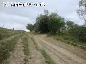 [P06] Cam aşa arată drumul pe câmp către misterioasele movile. Dacă plouă, nu mai este de mers pe-acolo... Ajunşi în acel loc, am virat spre dreapta. » foto by Floryn81
 - 
<span class="allrVoted glyphicon glyphicon-heart hidden" id="av887233"></span>
<a class="m-l-10 hidden" id="sv887233" onclick="voting_Foto_DelVot(,887233,22448)" role="button">șterge vot <span class="glyphicon glyphicon-remove"></span></a>
<a id="v9887233" class=" c-red"  onclick="voting_Foto_SetVot(887233)" role="button"><span class="glyphicon glyphicon-heart-empty"></span> <b>LIKE</b> = Votează poza</a> <img class="hidden"  id="f887233W9" src="/imagini/loader.gif" border="0" /><span class="AjErrMes hidden" id="e887233ErM"></span>
