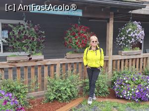 [P35] Orasul Seward » foto by robert
 - 
<span class="allrVoted glyphicon glyphicon-heart hidden" id="av1510580"></span>
<a class="m-l-10 hidden" id="sv1510580" onclick="voting_Foto_DelVot(,1510580,22462)" role="button">șterge vot <span class="glyphicon glyphicon-remove"></span></a>
<a id="v91510580" class=" c-red"  onclick="voting_Foto_SetVot(1510580)" role="button"><span class="glyphicon glyphicon-heart-empty"></span> <b>LIKE</b> = Votează poza</a> <img class="hidden"  id="f1510580W9" src="/imagini/loader.gif" border="0" /><span class="AjErrMes hidden" id="e1510580ErM"></span>