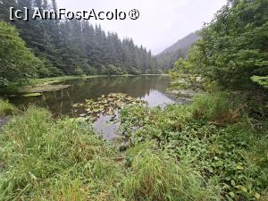 [P48] traseul prin pădure » foto by robert
 - 
<span class="allrVoted glyphicon glyphicon-heart hidden" id="av1510593"></span>
<a class="m-l-10 hidden" id="sv1510593" onclick="voting_Foto_DelVot(,1510593,22462)" role="button">șterge vot <span class="glyphicon glyphicon-remove"></span></a>
<a id="v91510593" class=" c-red"  onclick="voting_Foto_SetVot(1510593)" role="button"><span class="glyphicon glyphicon-heart-empty"></span> <b>LIKE</b> = Votează poza</a> <img class="hidden"  id="f1510593W9" src="/imagini/loader.gif" border="0" /><span class="AjErrMes hidden" id="e1510593ErM"></span>