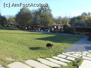 [P28] Porumbacu de Sus - La Castelul de lut din Valea Z&acirc;nelor. » foto by iulianic
 - 
<span class="allrVoted glyphicon glyphicon-heart hidden" id="av1346164"></span>
<a class="m-l-10 hidden" id="sv1346164" onclick="voting_Foto_DelVot(,1346164,22464)" role="button">șterge vot <span class="glyphicon glyphicon-remove"></span></a>
<a id="v91346164" class=" c-red"  onclick="voting_Foto_SetVot(1346164)" role="button"><span class="glyphicon glyphicon-heart-empty"></span> <b>LIKE</b> = Votează poza</a> <img class="hidden"  id="f1346164W9" src="/imagini/loader.gif" border="0" /><span class="AjErrMes hidden" id="e1346164ErM"></span>