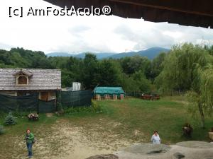 [P14] Spatiu larg in curte » foto by vulpe mihaela
 - 
<span class="allrVoted glyphicon glyphicon-heart hidden" id="av1086765"></span>
<a class="m-l-10 hidden" id="sv1086765" onclick="voting_Foto_DelVot(,1086765,22464)" role="button">șterge vot <span class="glyphicon glyphicon-remove"></span></a>
<a id="v91086765" class=" c-red"  onclick="voting_Foto_SetVot(1086765)" role="button"><span class="glyphicon glyphicon-heart-empty"></span> <b>LIKE</b> = Votează poza</a> <img class="hidden"  id="f1086765W9" src="/imagini/loader.gif" border="0" /><span class="AjErrMes hidden" id="e1086765ErM"></span>