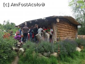 [P29] Magazinul cu suveniruri » foto by vulpe mihaela
 - 
<span class="allrVoted glyphicon glyphicon-heart hidden" id="av1086780"></span>
<a class="m-l-10 hidden" id="sv1086780" onclick="voting_Foto_DelVot(,1086780,22464)" role="button">șterge vot <span class="glyphicon glyphicon-remove"></span></a>
<a id="v91086780" class=" c-red"  onclick="voting_Foto_SetVot(1086780)" role="button"><span class="glyphicon glyphicon-heart-empty"></span> <b>LIKE</b> = Votează poza</a> <img class="hidden"  id="f1086780W9" src="/imagini/loader.gif" border="0" /><span class="AjErrMes hidden" id="e1086780ErM"></span>