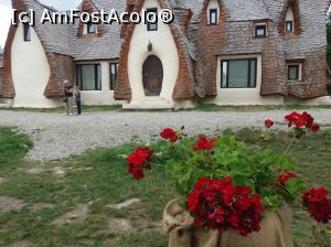 [P05] Si muscatel la castel » foto by vulpe mihaela
 - 
<span class="allrVoted glyphicon glyphicon-heart hidden" id="av1086756"></span>
<a class="m-l-10 hidden" id="sv1086756" onclick="voting_Foto_DelVot(,1086756,22464)" role="button">șterge vot <span class="glyphicon glyphicon-remove"></span></a>
<a id="v91086756" class=" c-red"  onclick="voting_Foto_SetVot(1086756)" role="button"><span class="glyphicon glyphicon-heart-empty"></span> <b>LIKE</b> = Votează poza</a> <img class="hidden"  id="f1086756W9" src="/imagini/loader.gif" border="0" /><span class="AjErrMes hidden" id="e1086756ErM"></span>