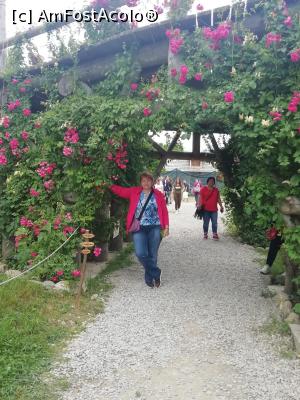 [P07] Bolta de sub pod » foto by vulpe mihaela
 - 
<span class="allrVoted glyphicon glyphicon-heart hidden" id="av1086758"></span>
<a class="m-l-10 hidden" id="sv1086758" onclick="voting_Foto_DelVot(,1086758,22464)" role="button">șterge vot <span class="glyphicon glyphicon-remove"></span></a>
<a id="v91086758" class=" c-red"  onclick="voting_Foto_SetVot(1086758)" role="button"><span class="glyphicon glyphicon-heart-empty"></span> <b>LIKE</b> = Votează poza</a> <img class="hidden"  id="f1086758W9" src="/imagini/loader.gif" border="0" /><span class="AjErrMes hidden" id="e1086758ErM"></span>