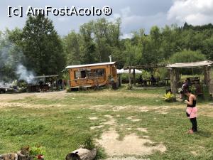 [P03] curtea castelului » foto by Dan&Ema
 - 
<span class="allrVoted glyphicon glyphicon-heart hidden" id="av1087968"></span>
<a class="m-l-10 hidden" id="sv1087968" onclick="voting_Foto_DelVot(,1087968,22464)" role="button">șterge vot <span class="glyphicon glyphicon-remove"></span></a>
<a id="v91087968" class=" c-red"  onclick="voting_Foto_SetVot(1087968)" role="button"><span class="glyphicon glyphicon-heart-empty"></span> <b>LIKE</b> = Votează poza</a> <img class="hidden"  id="f1087968W9" src="/imagini/loader.gif" border="0" /><span class="AjErrMes hidden" id="e1087968ErM"></span>