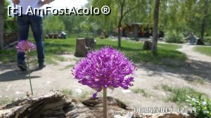 [P09] Castelul de Lut - Valea Zânelor, Porumbacul de Sus.  » foto by ungureanica
 - 
<span class="allrVoted glyphicon glyphicon-heart hidden" id="av1072761"></span>
<a class="m-l-10 hidden" id="sv1072761" onclick="voting_Foto_DelVot(,1072761,22464)" role="button">șterge vot <span class="glyphicon glyphicon-remove"></span></a>
<a id="v91072761" class=" c-red"  onclick="voting_Foto_SetVot(1072761)" role="button"><span class="glyphicon glyphicon-heart-empty"></span> <b>LIKE</b> = Votează poza</a> <img class="hidden"  id="f1072761W9" src="/imagini/loader.gif" border="0" /><span class="AjErrMes hidden" id="e1072761ErM"></span>