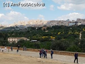 [P19] În depărtare e oraşul Agrigento » foto by Marius 72
 - 
<span class="allrVoted glyphicon glyphicon-heart hidden" id="av1382731"></span>
<a class="m-l-10 hidden" id="sv1382731" onclick="voting_Foto_DelVot(,1382731,22473)" role="button">șterge vot <span class="glyphicon glyphicon-remove"></span></a>
<a id="v91382731" class=" c-red"  onclick="voting_Foto_SetVot(1382731)" role="button"><span class="glyphicon glyphicon-heart-empty"></span> <b>LIKE</b> = Votează poza</a> <img class="hidden"  id="f1382731W9" src="/imagini/loader.gif" border="0" /><span class="AjErrMes hidden" id="e1382731ErM"></span>
