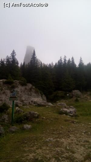 [P02] Pietrele Doamnei, Rarau » foto by bel_lira
 - 
<span class="allrVoted glyphicon glyphicon-heart hidden" id="av888694"></span>
<a class="m-l-10 hidden" id="sv888694" onclick="voting_Foto_DelVot(,888694,22474)" role="button">șterge vot <span class="glyphicon glyphicon-remove"></span></a>
<a id="v9888694" class=" c-red"  onclick="voting_Foto_SetVot(888694)" role="button"><span class="glyphicon glyphicon-heart-empty"></span> <b>LIKE</b> = Votează poza</a> <img class="hidden"  id="f888694W9" src="/imagini/loader.gif" border="0" /><span class="AjErrMes hidden" id="e888694ErM"></span>