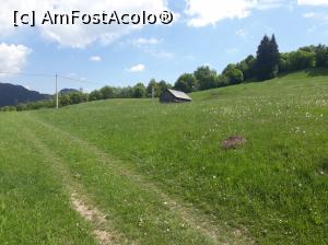 [P48] La plimbare pe dealurile din fața casei.  » foto by Aurici
 - 
<span class="allrVoted glyphicon glyphicon-heart hidden" id="av1033252"></span>
<a class="m-l-10 hidden" id="sv1033252" onclick="voting_Foto_DelVot(,1033252,22477)" role="button">șterge vot <span class="glyphicon glyphicon-remove"></span></a>
<a id="v91033252" class=" c-red"  onclick="voting_Foto_SetVot(1033252)" role="button"><span class="glyphicon glyphicon-heart-empty"></span> <b>LIKE</b> = Votează poza</a> <img class="hidden"  id="f1033252W9" src="/imagini/loader.gif" border="0" /><span class="AjErrMes hidden" id="e1033252ErM"></span>