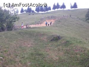 [P49] La plimbare pe dealurile din fața casei.  » foto by Aurici
 - 
<span class="allrVoted glyphicon glyphicon-heart hidden" id="av1033253"></span>
<a class="m-l-10 hidden" id="sv1033253" onclick="voting_Foto_DelVot(,1033253,22477)" role="button">șterge vot <span class="glyphicon glyphicon-remove"></span></a>
<a id="v91033253" class=" c-red"  onclick="voting_Foto_SetVot(1033253)" role="button"><span class="glyphicon glyphicon-heart-empty"></span> <b>LIKE</b> = Votează poza</a> <img class="hidden"  id="f1033253W9" src="/imagini/loader.gif" border="0" /><span class="AjErrMes hidden" id="e1033253ErM"></span>