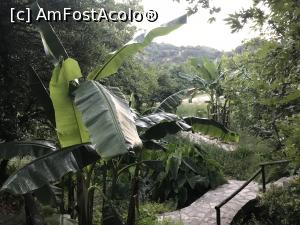[P30] Vedere spre munți de pe terasa de jos. Palios Milos » foto by krisstinna
 - 
<span class="allrVoted glyphicon glyphicon-heart hidden" id="av889364"></span>
<a class="m-l-10 hidden" id="sv889364" onclick="voting_Foto_DelVot(,889364,22481)" role="button">șterge vot <span class="glyphicon glyphicon-remove"></span></a>
<a id="v9889364" class=" c-red"  onclick="voting_Foto_SetVot(889364)" role="button"><span class="glyphicon glyphicon-heart-empty"></span> <b>LIKE</b> = Votează poza</a> <img class="hidden"  id="f889364W9" src="/imagini/loader.gif" border="0" /><span class="AjErrMes hidden" id="e889364ErM"></span>